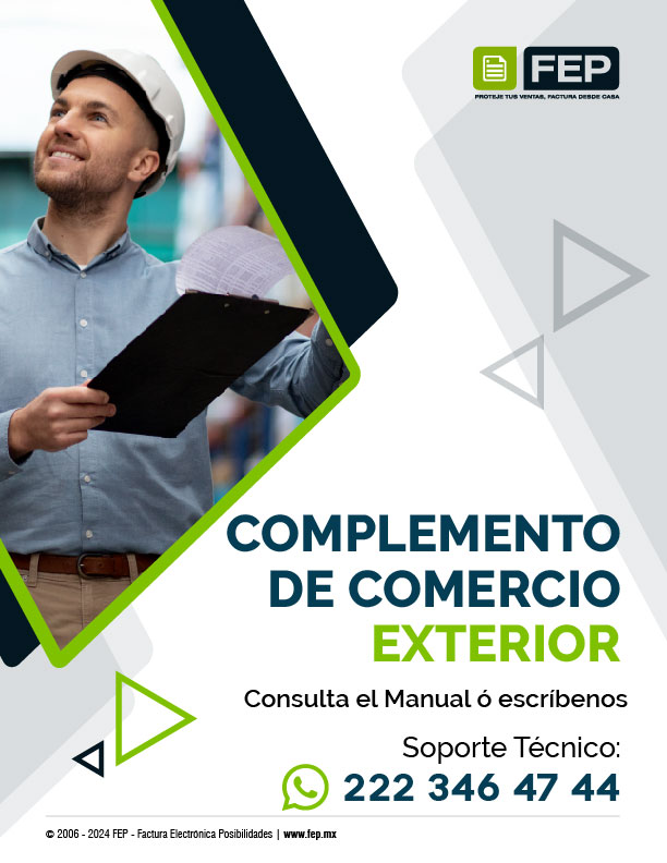 Manual de complemento de comercio exterior